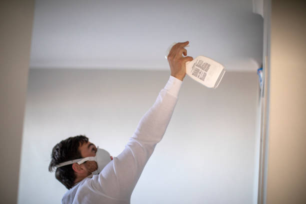 Best Commercial Mold Remediation in Junction City, KY