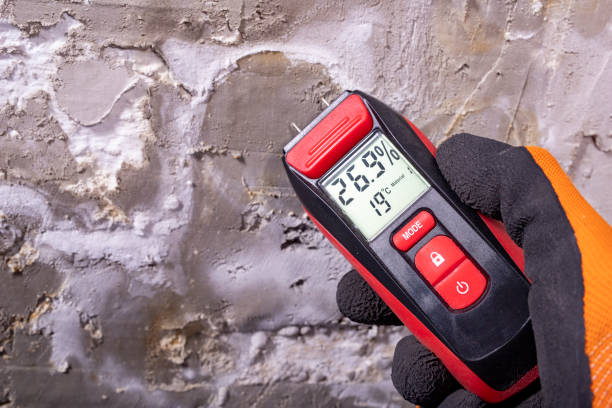 Best Crawl Space Mold Remediation in Junction City, KY