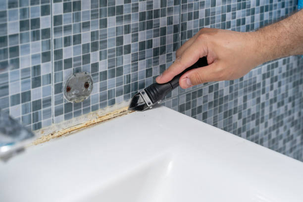 Best Black Mold Remediation in Junction City, KY