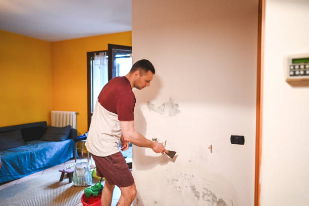 Professional Mold Remediation in Junction City, KY